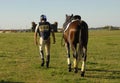 Horseman with horse Royalty Free Stock Photo