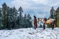 Horseman and horse pony walking on valley, Visiting Baisaran Tourist Point in Pahalgam