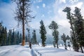 Horseman and horse pony walking on valley, Visiting Baisaran Tourist Point in Pahalgam