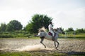 Horseman on horseback, ranch, horse farm. Galop, riding lessons Royalty Free Stock Photo