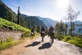 Horseman near Mount Penanjakan,The best views from Mount Bromo