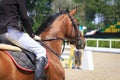 Horseman sits on a horse waiting for the start of the competition against the background of the grandstands