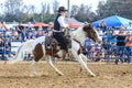 2018 FAWE Rodeo Royalty Free Stock Photo