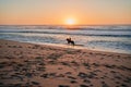 horseman at sunset Royalty Free Stock Photo