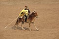 Horsemanship performance Royalty Free Stock Photo