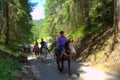 Horsemen on mountain road