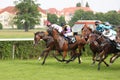 Horserace at Scheibenholz in Leipzig Royalty Free Stock Photo