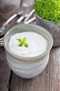 Horseradish and cream sauce Royalty Free Stock Photo