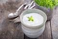 Horseradish and cream sauce Royalty Free Stock Photo