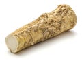 Horseradish Royalty Free Stock Photo