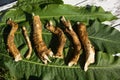 Horseradish roots and green horseradish leaves are flat top view. medical plant