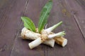 Horseradish roots with leaves