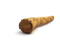 Horseradish