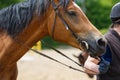 Horserider on the arena