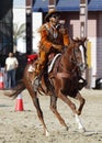 A horserider performs at Maraee 2014, Bahrain