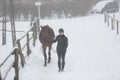 Horserider walking with horse