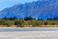 Horseriding near Glenorchy, New Zealand