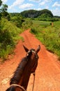 Horseriding in Vinales