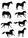 Horses