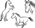 Horses