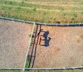 Horses from above Royalty Free Stock Photo