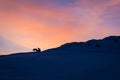 Horses against the sunrise in Iceland Royalty Free Stock Photo