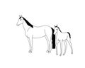 Horses baby with his mother, cute family illustration