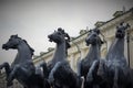 Horses on the background Royalty Free Stock Photo