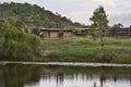 Horses On The Banks Of A Creek Royalty Free Stock Photo