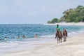 Horses on the beach