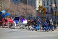 Horses and Bikes in New York City