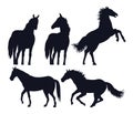 horses black animals silhouettes isolated icons Royalty Free Stock Photo