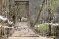 Horses on the bridge over the river in the mountains. tourist horseback riding. the male groom transfers the horses across the bri Royalty Free Stock Photo