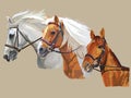 Horses in bridle