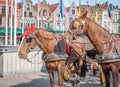 Horses in Bruges, Belgium