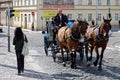 Horses and Carriage, Central Prague, Czech Republic