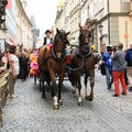 Horses with carriage on Khamore - world roma festival Royalty Free Stock Photo