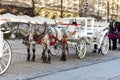 horses with carriage on the main square of Krakow Royalty Free Stock Photo