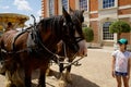 Horses and carriage parked up at Hampton Court Palace Royalty Free Stock Photo