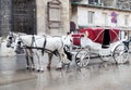 Horses with the carriage in Vienna Royalty Free Stock Photo