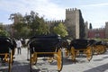 Horses carriages at historic plaza in Seville