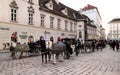 Horses with carriages on the old streets of Vienna