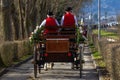 Horse Fair South West Germany