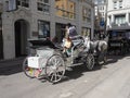 Horses and carriages in Vienna Royalty Free Stock Photo