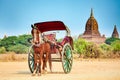 Horses cart waiting for tourist. Bagan,Myanmar Royalty Free Stock Photo