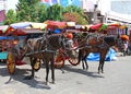 Horses and carts or delman in Padang City. Indonesia