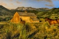 Horses at old barn mountain landscape at dawn Royalty Free Stock Photo