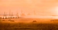 Horses at dawn in the field. Fog. Industrial. Royalty Free Stock Photo