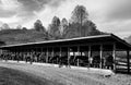 Horses dinnertime Royalty Free Stock Photo