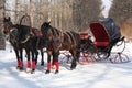 Horses driving cab Royalty Free Stock Photo